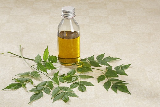 Neem Leaves And Coconut Oil